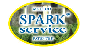 Spumantizzatore Spark Service